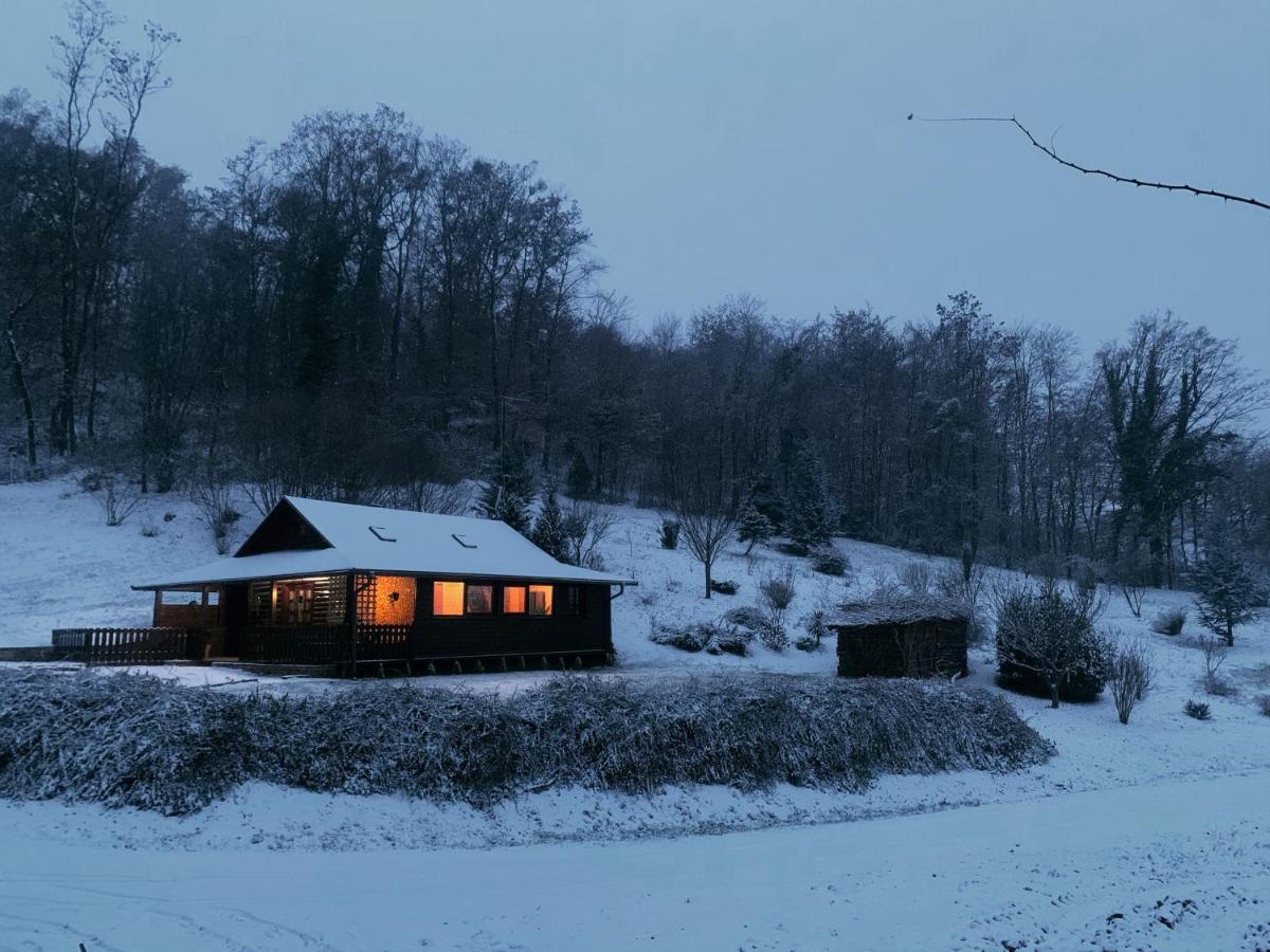 Holiday House Roko Sveti Ivan Zelina Zewnętrze zdjęcie